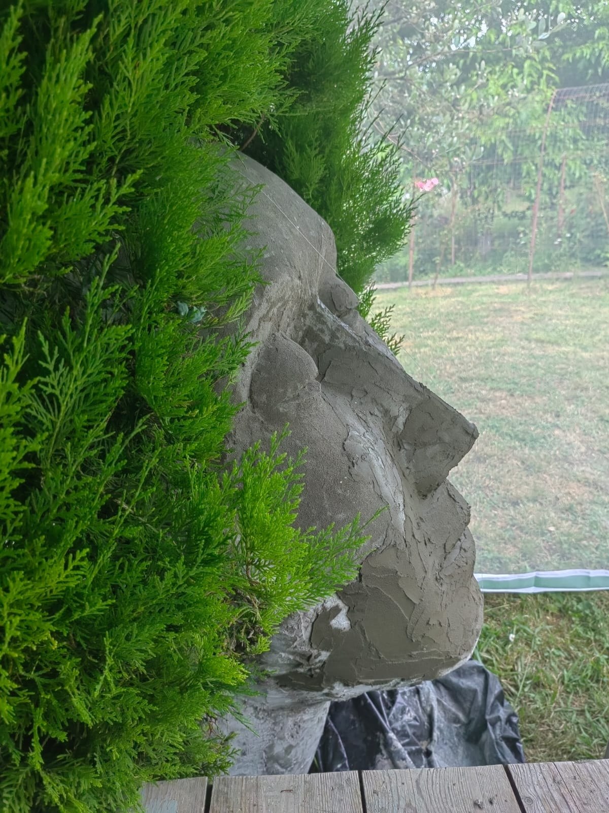 Mesh Reinforcement